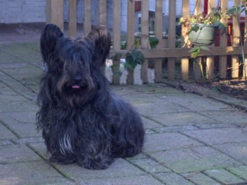 Jools in februari 2005
