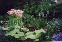De tuin in de lente
